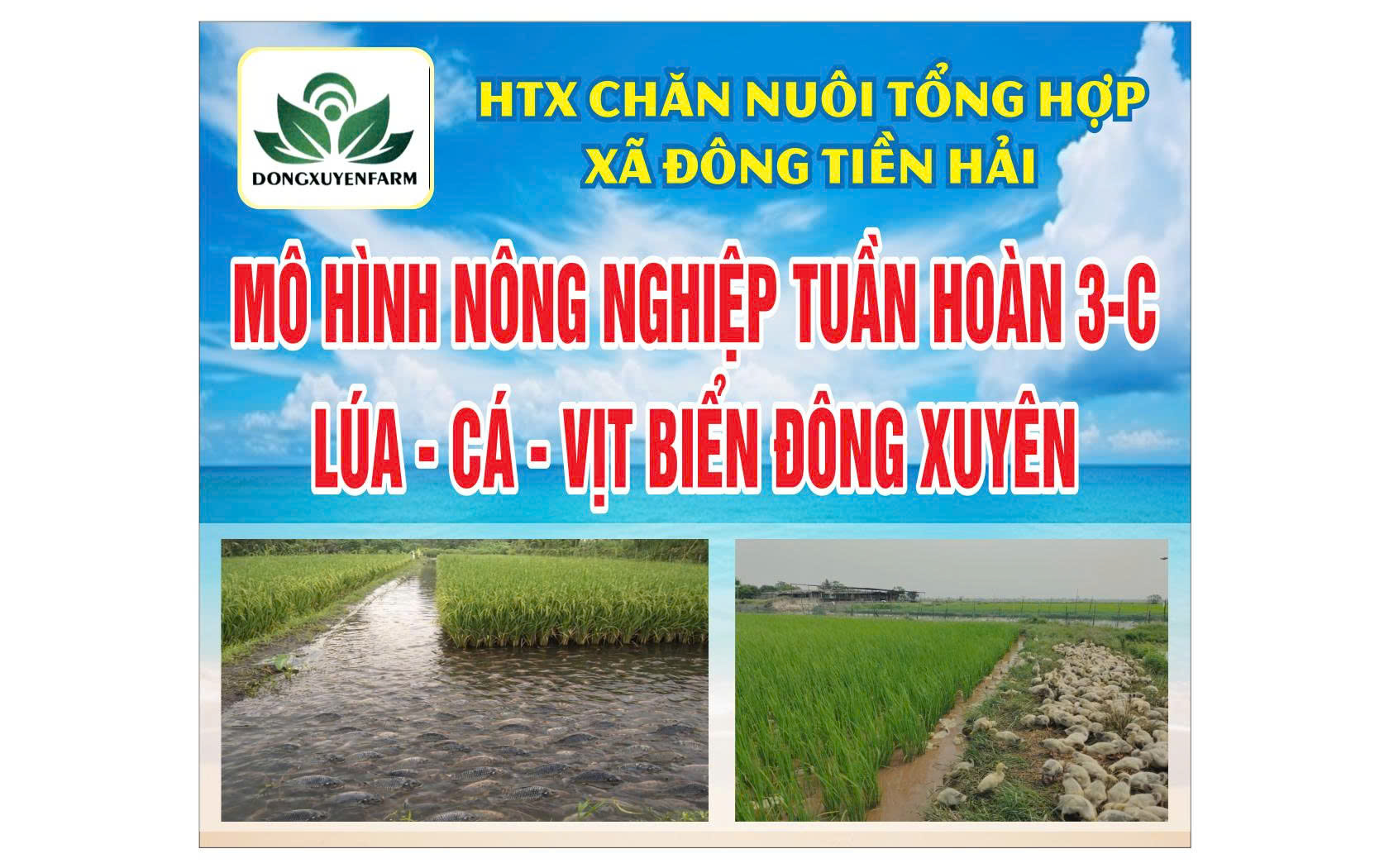 Tư liệu truyền thông về hương vị quê biển