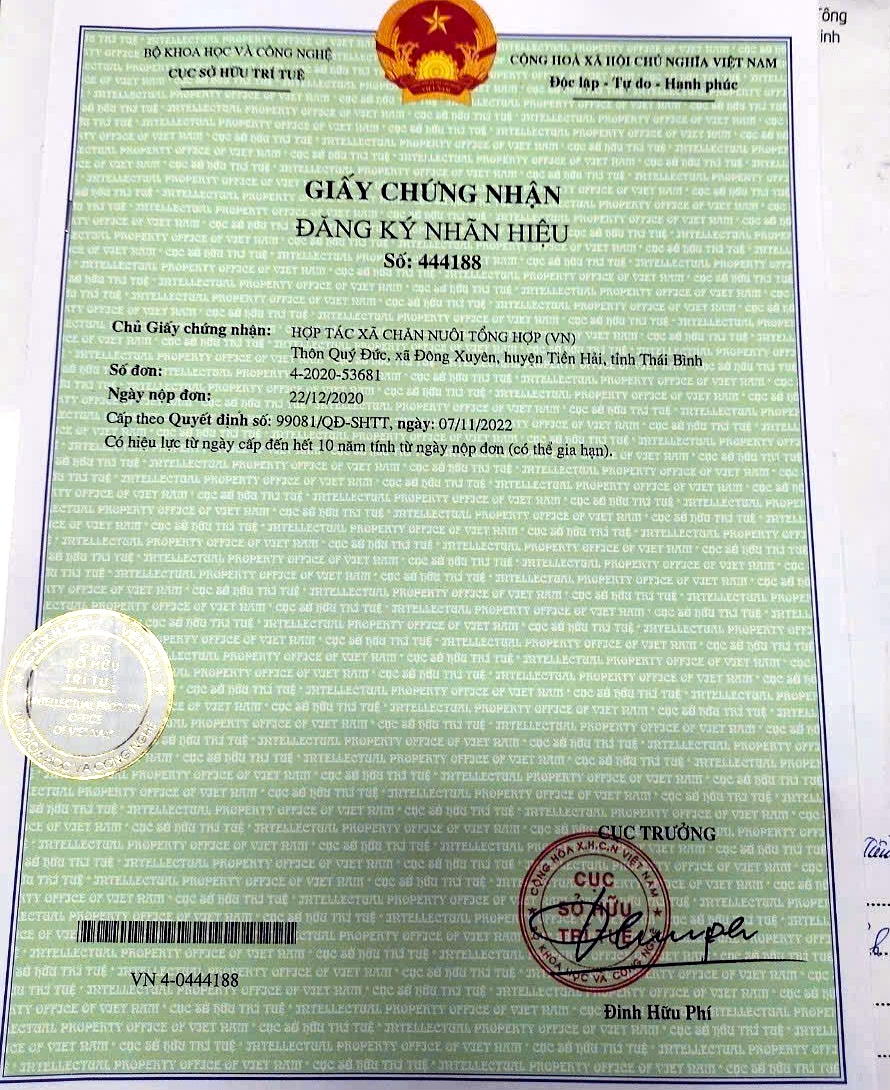 Tư liệu giấy chứng nhận thương hiệu