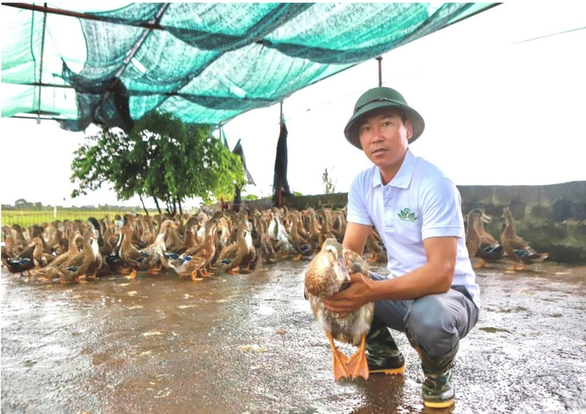Người chăn nuôi gắn bó với hoạt động sản xuất