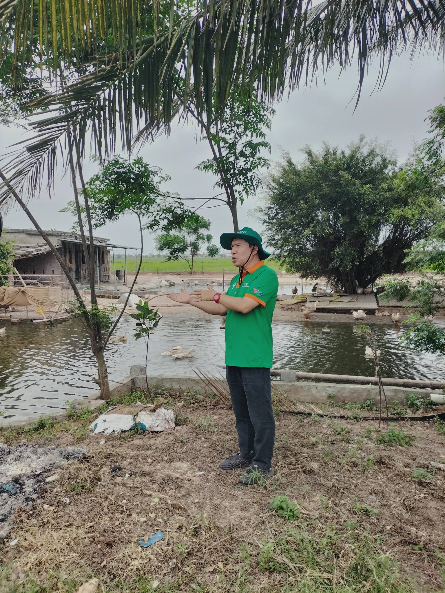 Khu chăn nuôi vịt biển